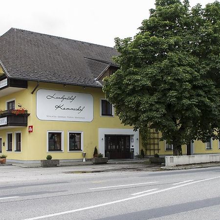 Landgasthof Kammerhof Hofstetten Экстерьер фото